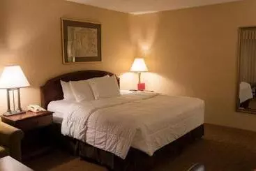 Mcm Elegante Hotel & Suites Lubbock