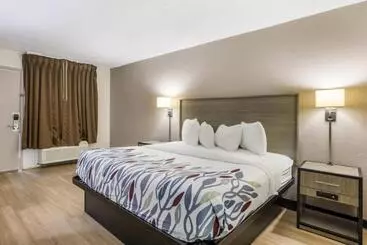 호텔 Red Roof Inn Savannah   Richmond Hill I 95