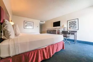 فندق Royal Plaza Inn