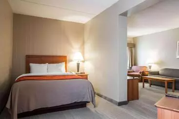 酒店 Comfort Inn