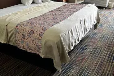 Otel Discovery Inn Lafayette