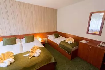 هتل Bystrina