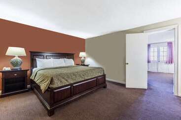 酒店 Super 8 By Wyndham New Orleans