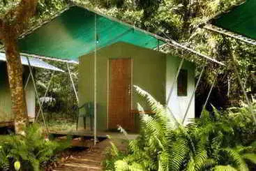 Отель Jungle Lodge