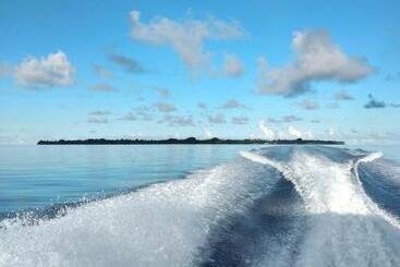 فندق Sunrise Inn