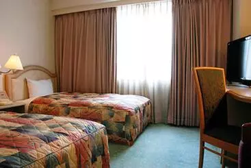 Отель Takarazuka Washington