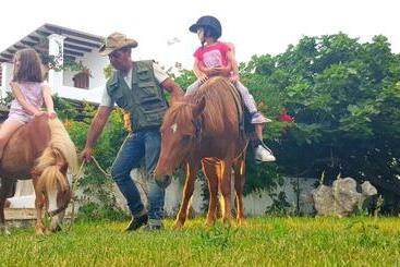 관광객 아파트 Anemonisia Deluxe Apartments & Mesonettes