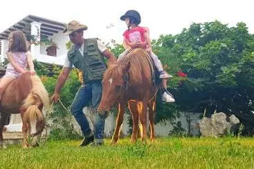 Tourist flats Anemonisia Deluxe Apartments & Mesonettes