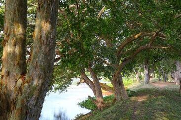 Hotel Best Life Eco Resort Mattala