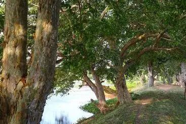 Hôtel Best Life Eco Resort Mattala