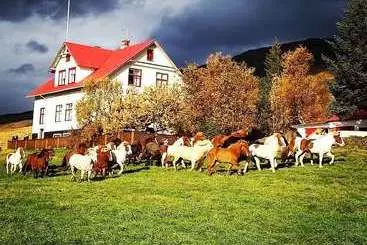 Aamiaismajoitus (B&B) Ferðaþjónustan Geitaskarði