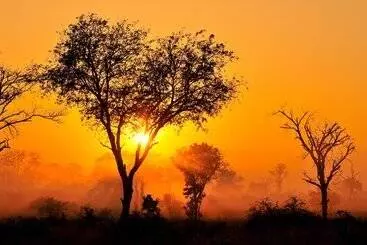 ホテル Inyati Game Lodge