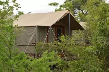 ホテル Wild Olive Tree Camp