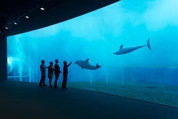 پانسیون Royal Suite