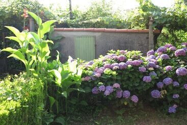 호스텔 Hostal Boavista