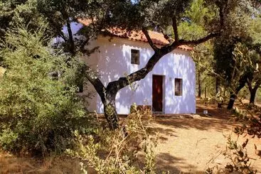 ホテル Camping Puente Nuevo