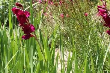 ペンション Au Coeur De Rennes Chambres D Hôtes