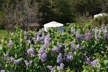 膳宿费 Destination Ailleurs