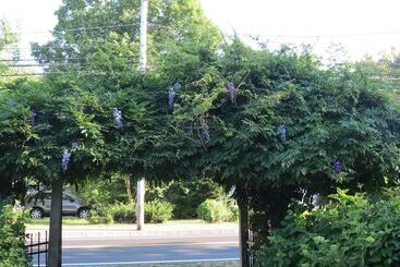 Bed and Breakfast The Silver Fountain Inn