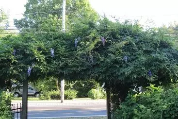 Aamiaismajoitus (B&B) The Silver Fountain Inn