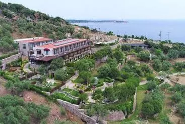 ベッドアンドブレックファースト Assos Longevity