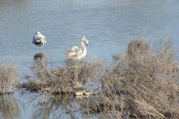 Aamiaismajoitus (B&B) Ibaia Le Bonheur