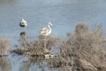 Bed and Breakfast Ibaia Le Bonheur