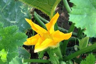 Assos Nazan Motel Restoran Beach