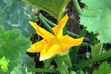 Assos Nazan Motel Restoran Beach