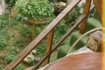 Oz Butik Otel Antik Kent Myrleia