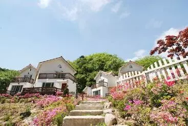 Turistlejligheder Art Lu Pension