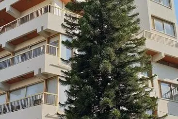 Nex Hostel