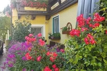 Pension Haus Rohrmoser