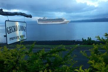 Отель Gecko Lodge Fiji