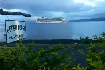 Otel Gecko Lodge Fiji