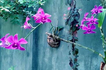 Bed and Breakfast Unawatuna Nor Lanka