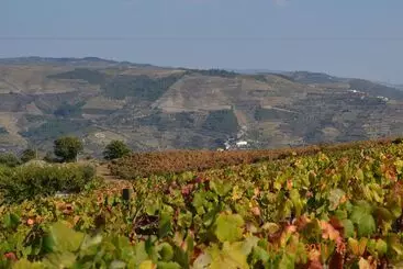 Mökkimajoitus Quinta Dos Espinheiros