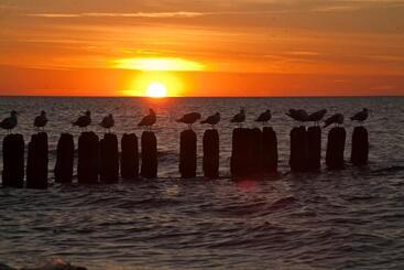 پانسیون Portobello