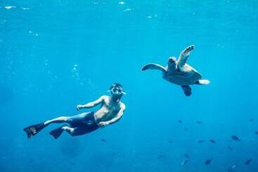 הוסטל Mad Monkey Gili Trawangan