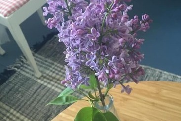 בית מלון כפרי Hem Till Bengt