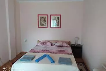 Pensionat Prenoćište Aleksandar