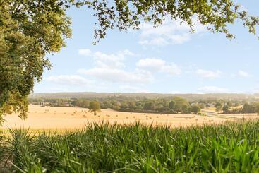בית מלון כפרי The Originals Le Manoir De Pierre Levée