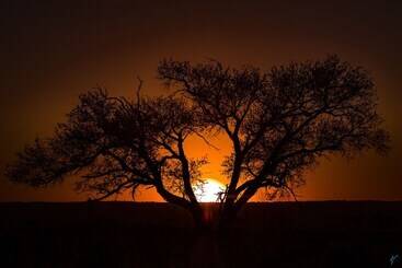 هتل Wolwedans Private Camp