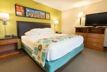 هتل Drury Inn & Suites Houston Galleria
