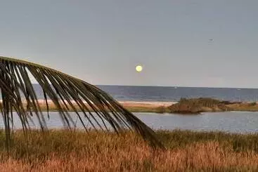 ペンション Pousada Icthus