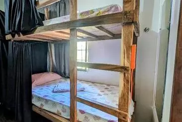 Screaming Gecko Hostel