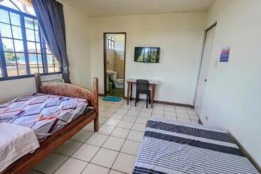 Screaming Gecko Hostel