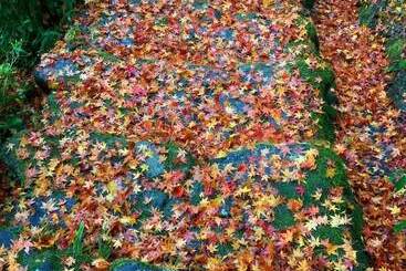 Pensjonat Akitsuki Kominka Yado You