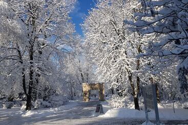 Pensjonat Art Boutique Central