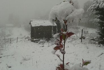 膳宿费 Chale Pouso Da Serra   Casas De Montanha